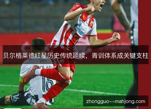 贝尔格莱德红星历史传统延续，青训体系成关键支柱