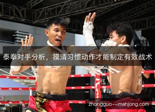 泰拳对手分析，摸清习惯动作才能制定有效战术